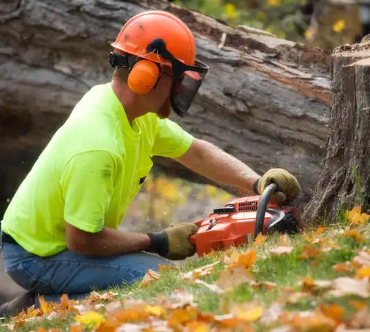 tree services Bourbon